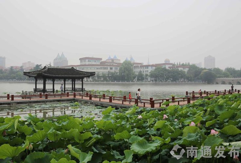 电商江湖风云：运营策略的深度解析